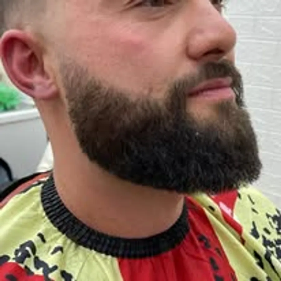 Beard grooming close-up